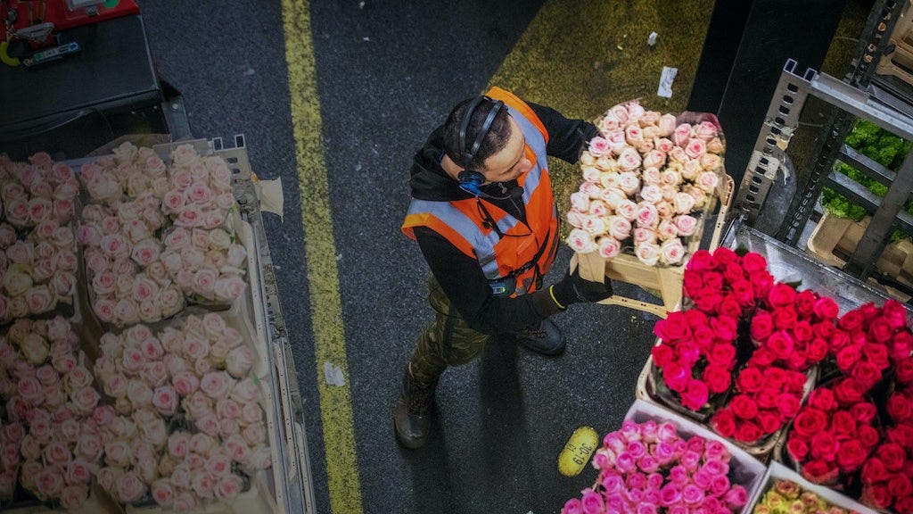 Man staat in een magazijn met een krat rozen