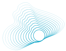 Icon 8