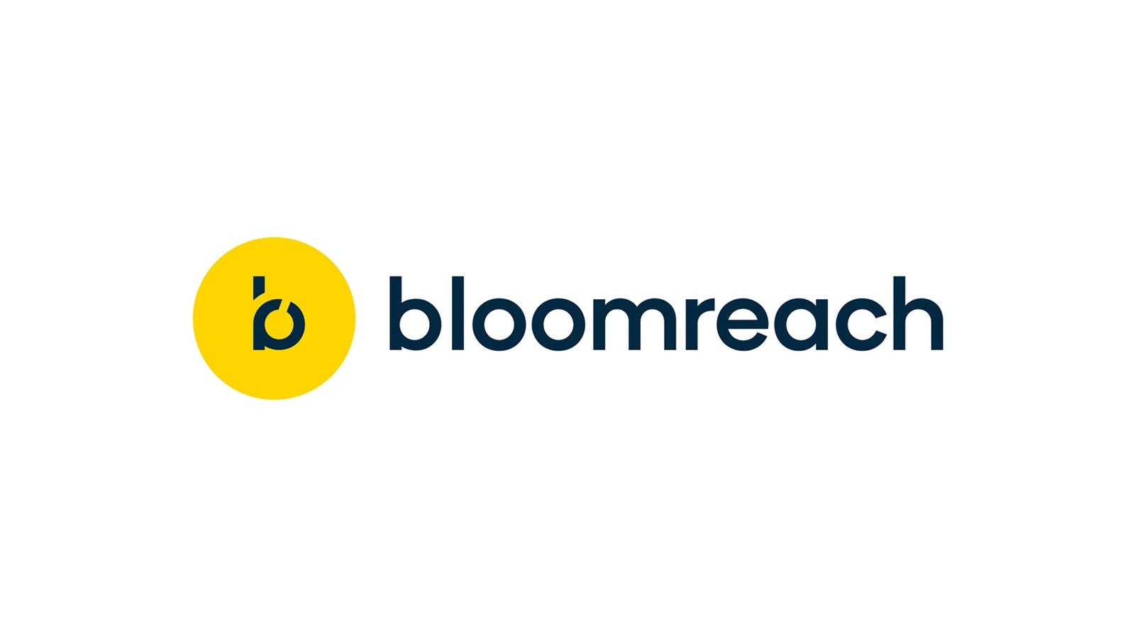 Bloomreach partner