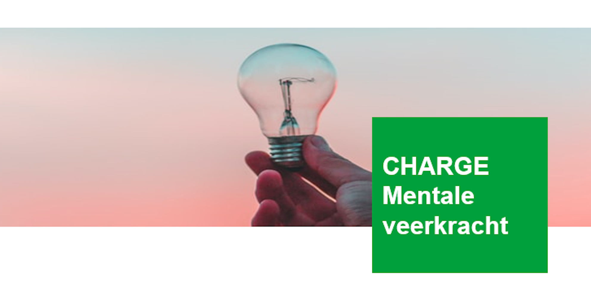 Conclusion Consulting charge programma - mentale veerkrachtConclusion charge programma - mentale veerkracht