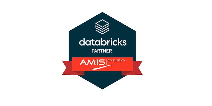 AMIS Databricks partner 