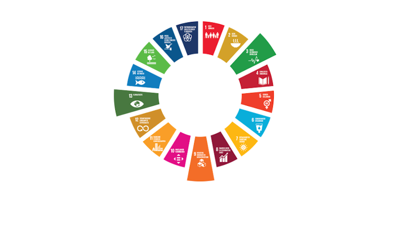 Sustainable Development Goals Virtual Sciences Conclusion